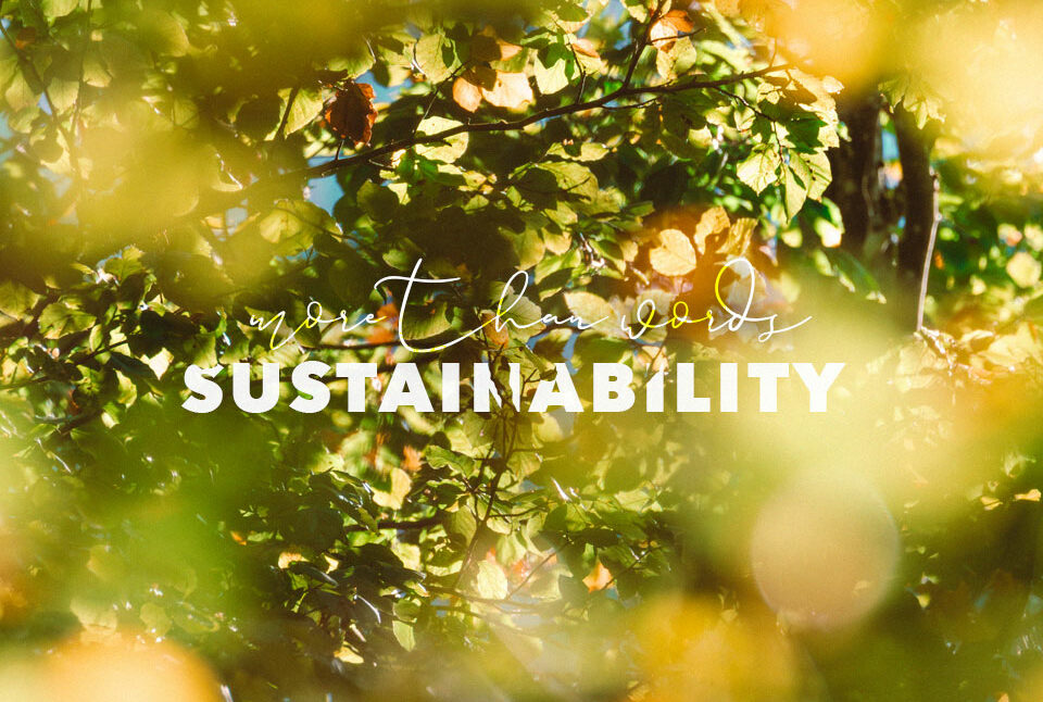 More than Sustainability